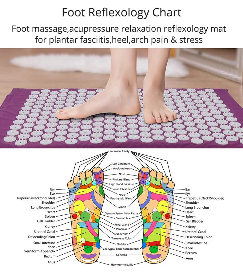 ZenPress