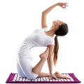 ZenPress