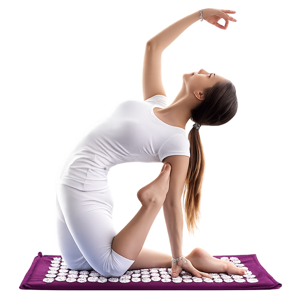 ZenPress — lifestyle