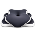 DreamAlign Pro