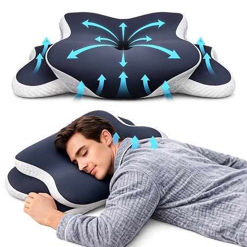 DreamAlign Pro